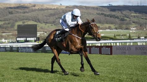 Cheltenham 2021: Results, analysis and early odds for the 2022 .